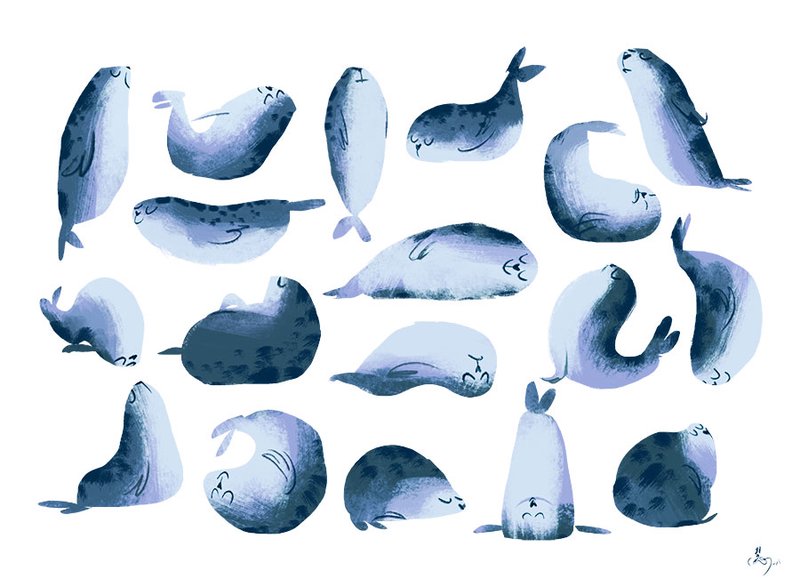 Illustration of a seal in different yoga poses